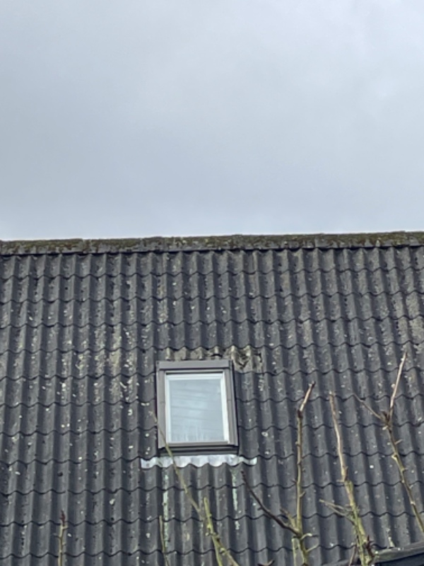 Udskiftning af eternitplade