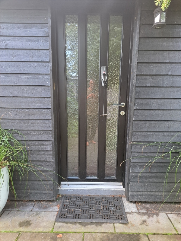 Kattelem I træhus med gipsvæhg