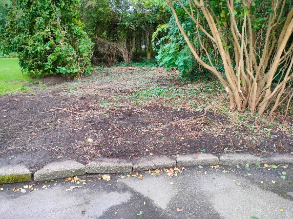 Anlægning af græsplæne