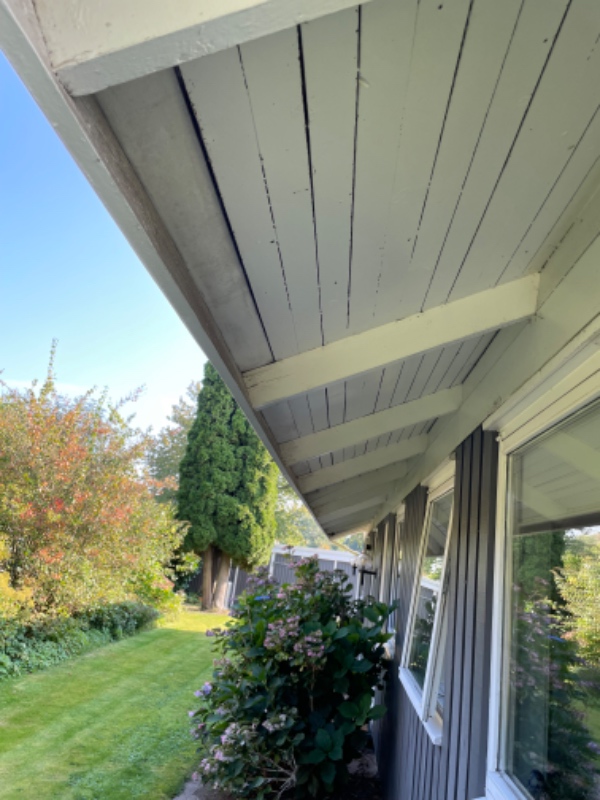 Nedvask af træværk på træhus