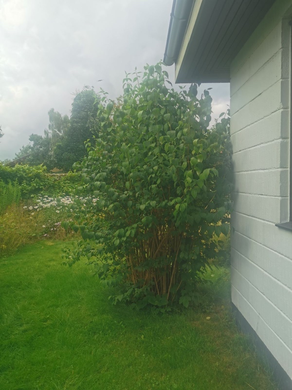 Meget havearbejde med forskellige opgaver