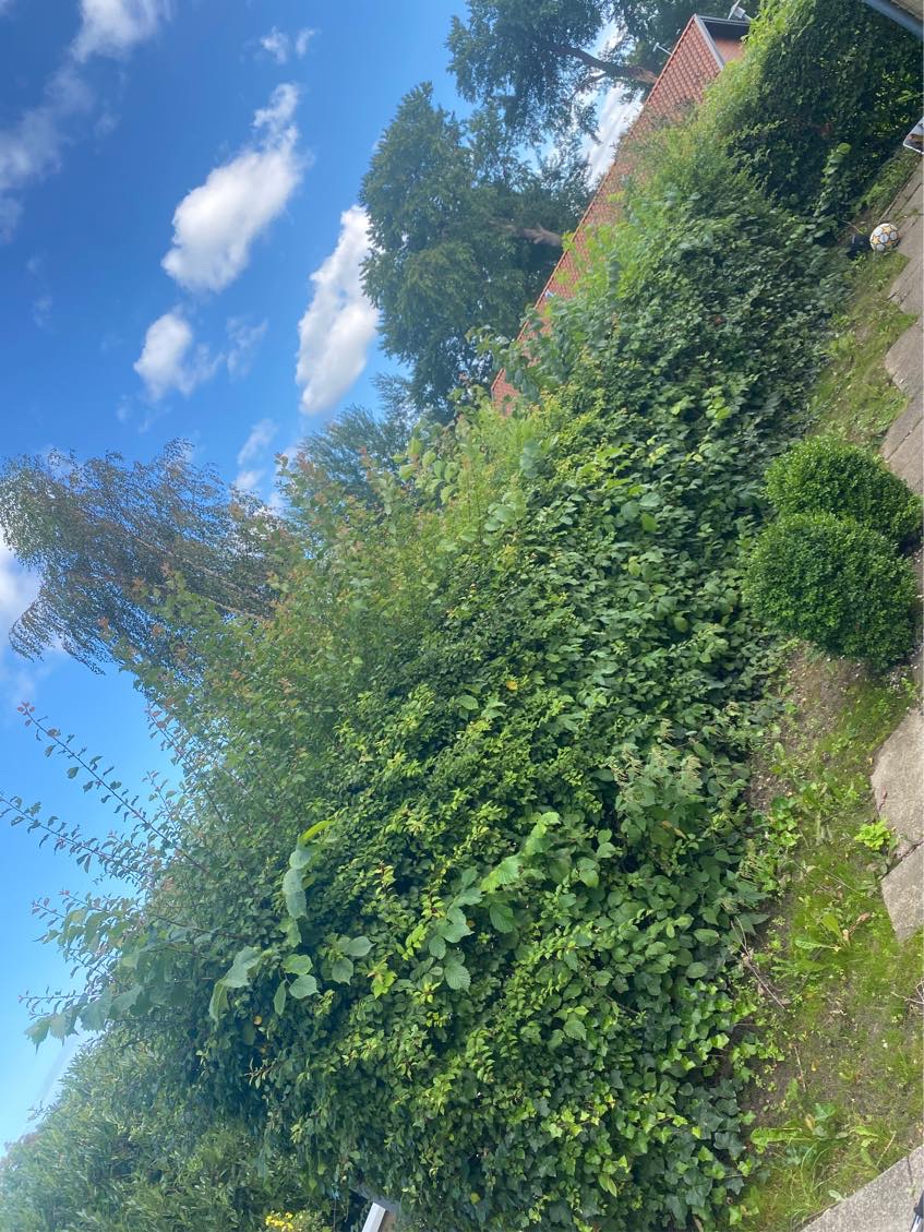 Søger efter en havemand til noget havearbejde i Sønderborg