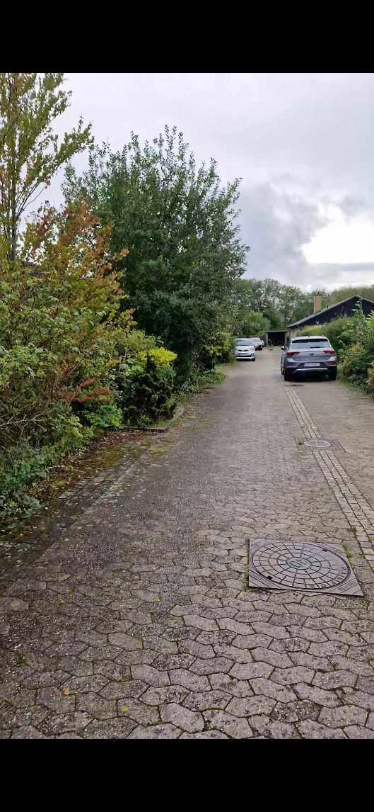 Hækken/buskene skal fjernes. Drejer sig om ca 45 meter. Hvis vi kan enes omkring prisen kan evt der også sættes hegn op. Opgaven er ude i herlev.
