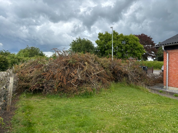 Bortskaffelse af haveaffald