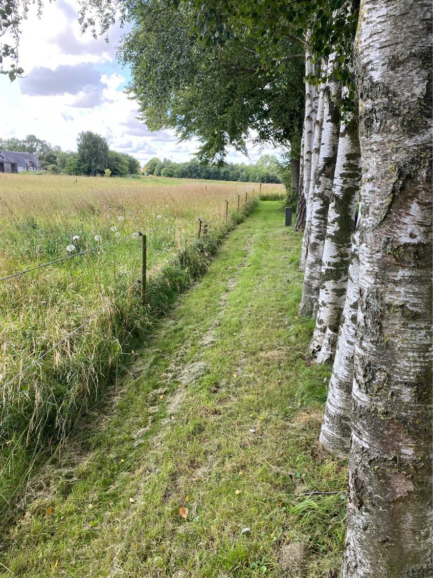 Trådhegn ca 160 skal opsættes