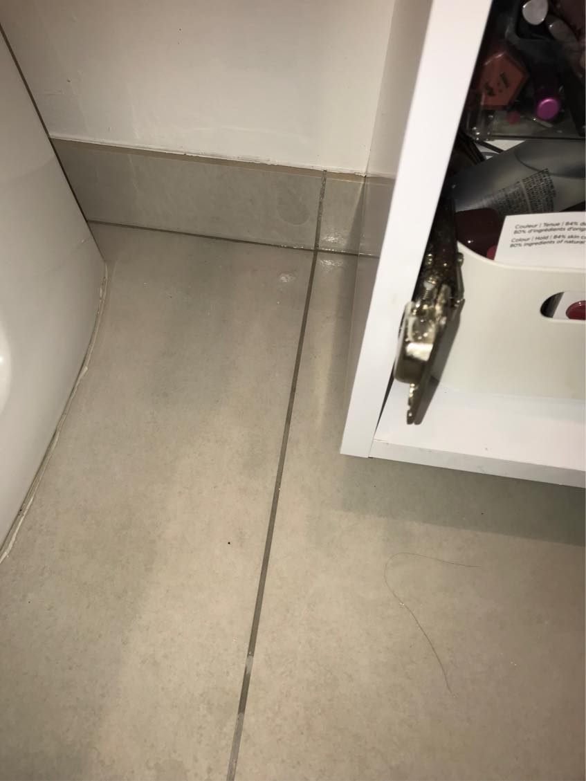 Afløb tilstoppet proffesionel vvser søges