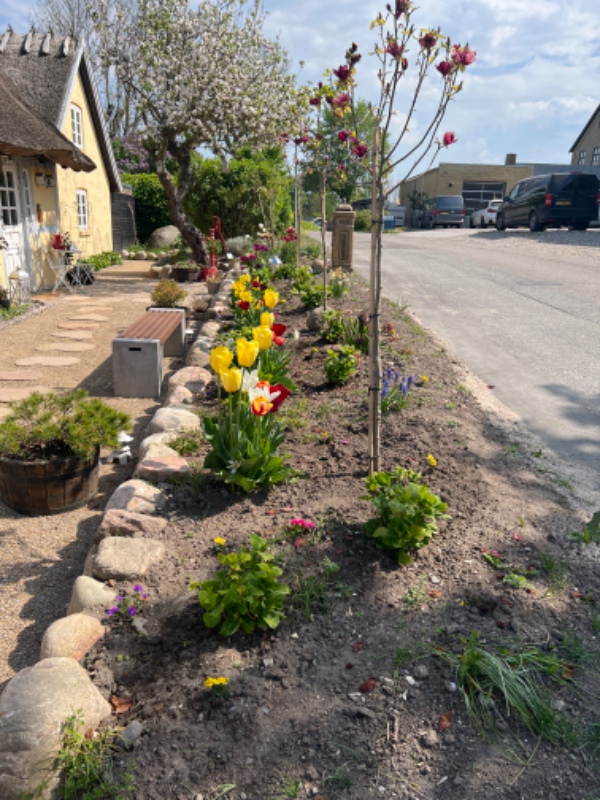 Forårs ukrudts rydning