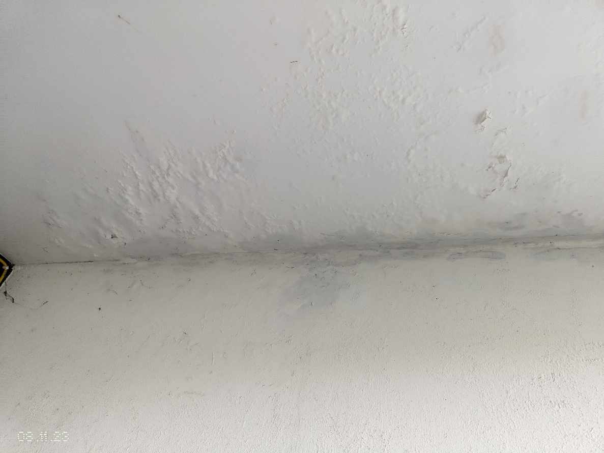 Repair/Touch up/Renovation Altan