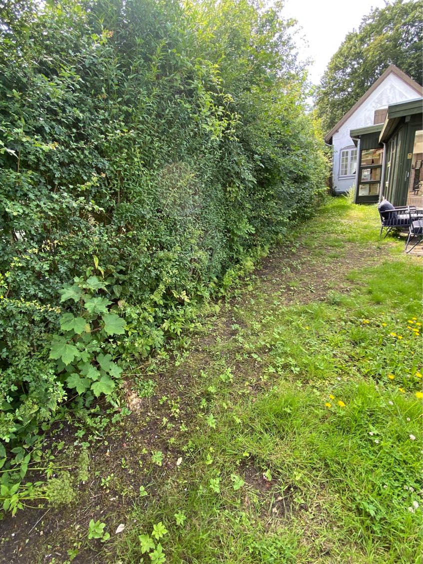 Ukrudtsfjernelse og græsklipning og hækklipning