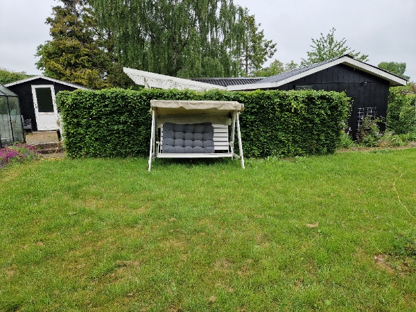 Bøgehæk fjernelse og bortskaffelse