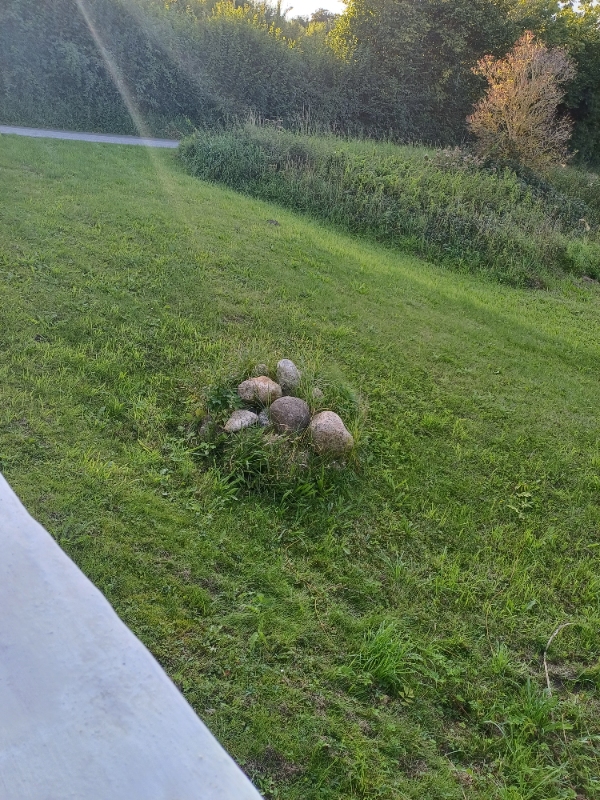 Ukrudt og græsslåning