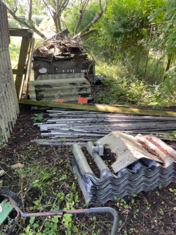 Rydde grund for affald og brombærbuske