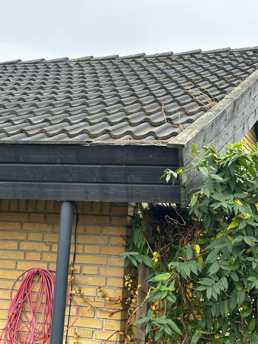 Maling af sternbrædder samt udskiftning af værste