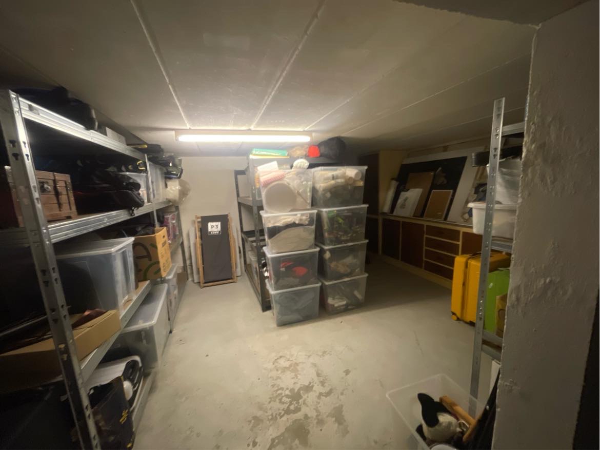 Oprydning og udrydning af kælder