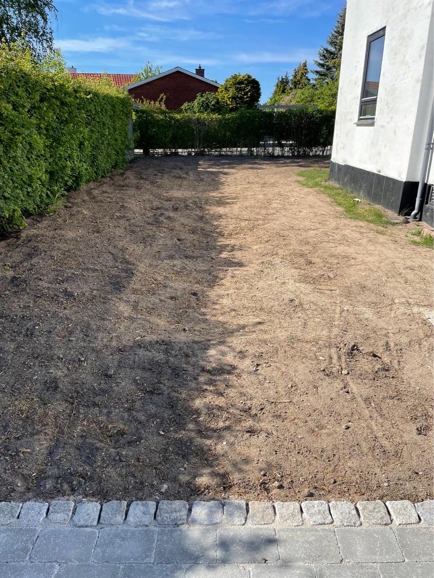 Udbedring/ planering af bulet græsplæne samt såning af græs