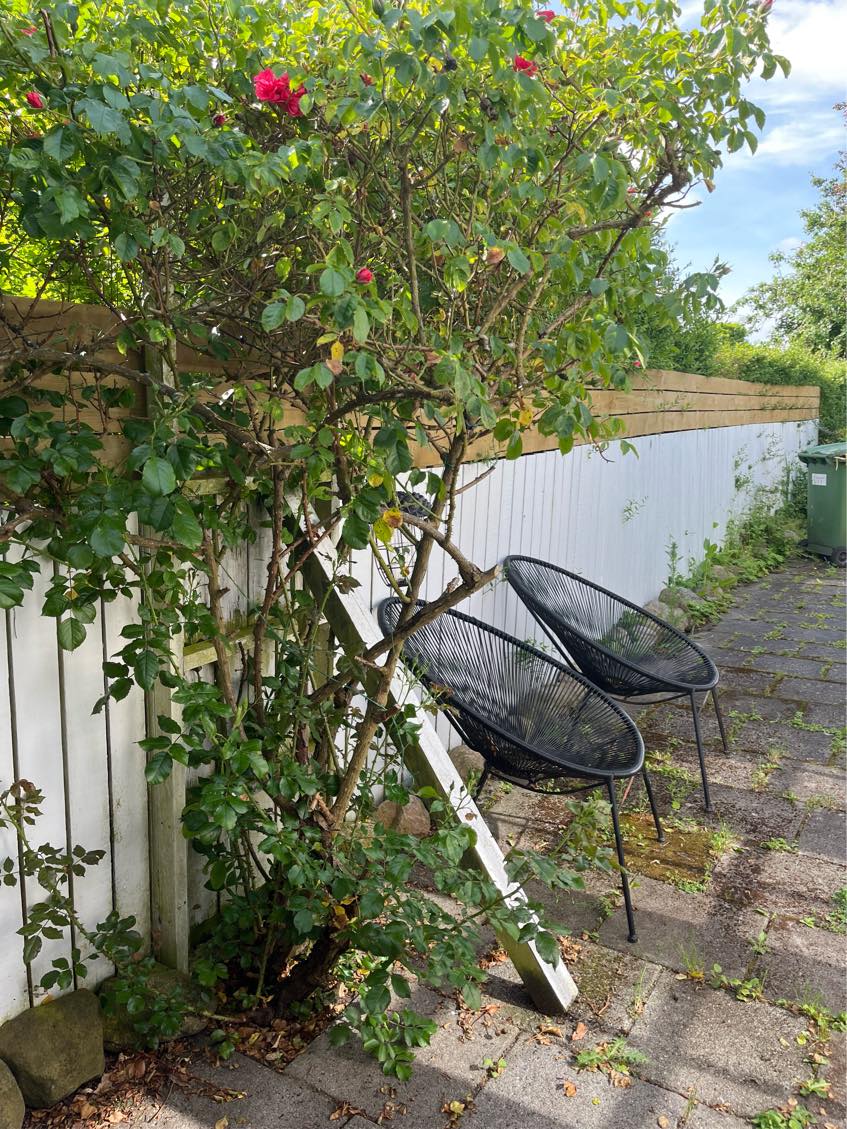 Udendørs malerarbejde
