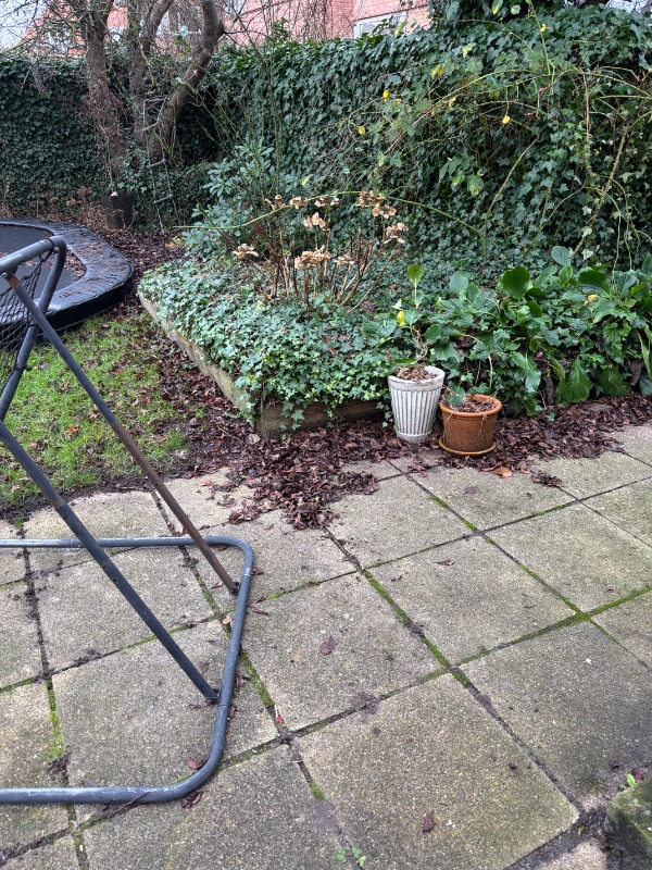 Genbrugsplads og fjernelse af brædder i have