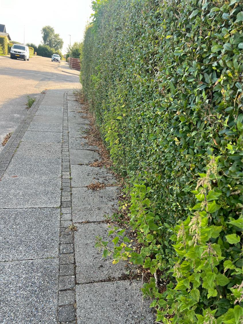 Havearbejde - ukrudtsbekæmpelse