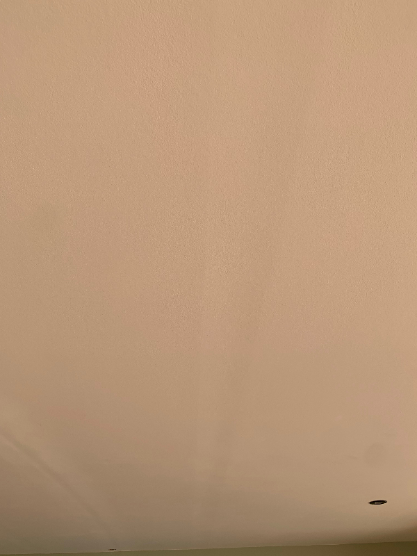 Spartle og male loft. 