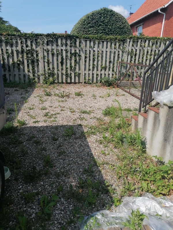 Klippe hæk og fjerne ukrudt