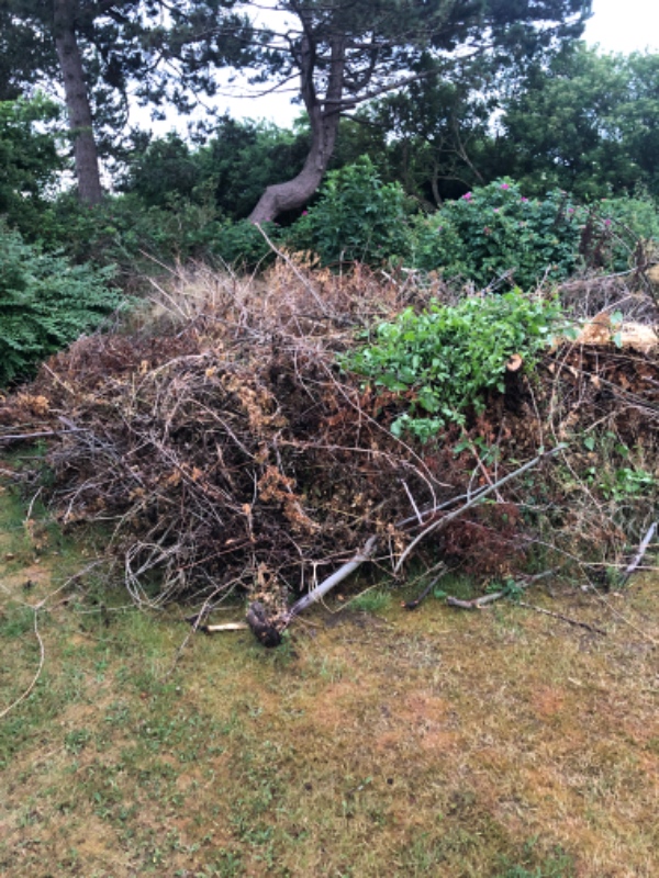 Møbler, storeaffald og haveaffald