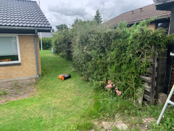 Klippet Liguster hæk som ca 90 meter hæk, og fjernet  ukrudt i indkørels. Tilbud på bortskaffelse