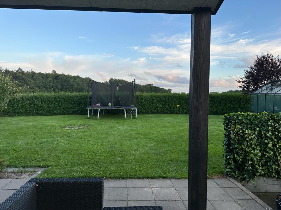 Hæk klipning - Ligusta + efeu