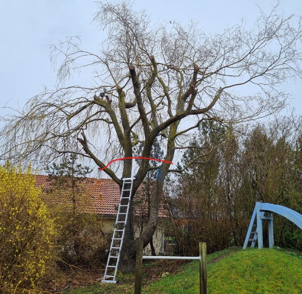 Ingen opgavebeskrivelse