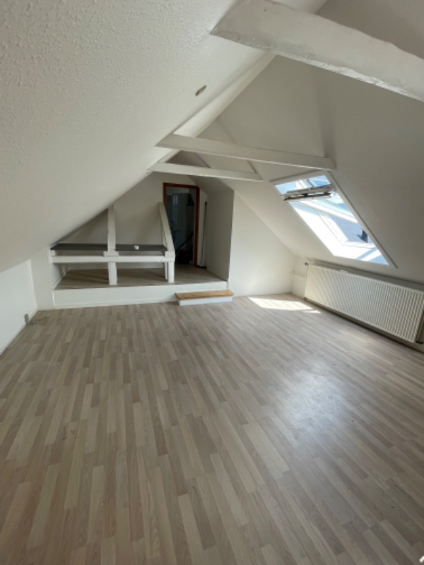 Flytterengøring af 55 kvm lejlighed