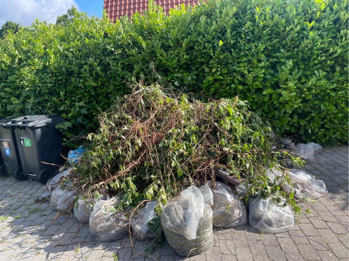 Fjerne affald (kom med et bud)