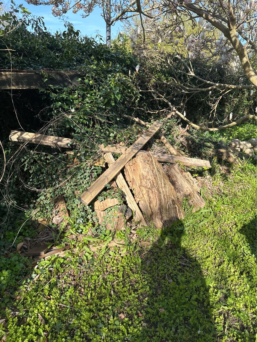 Skåret træ op med en motorsav