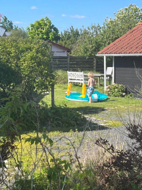 Lugning og hækklipning