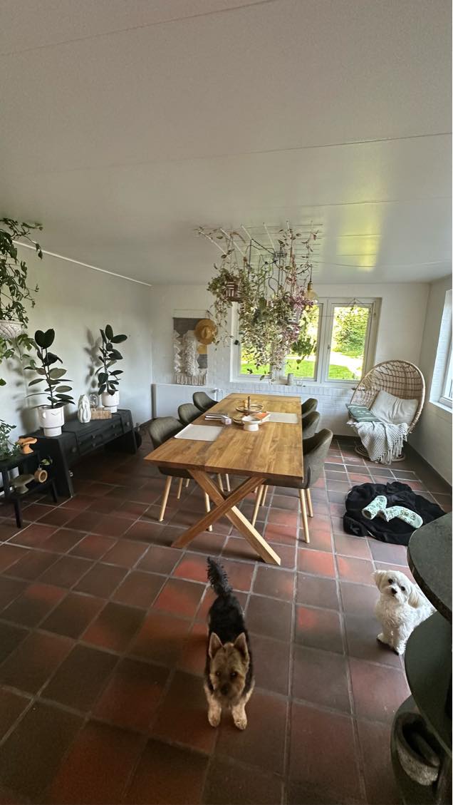 Grundig rengøring af hus 158 m2