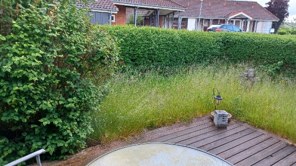 Græsslåning ugentligt Amager