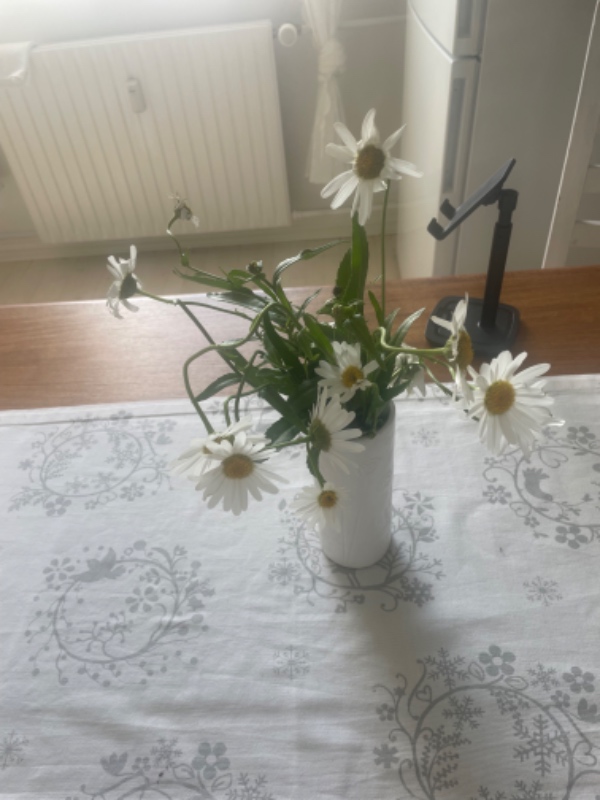 Bil spejl knækket af