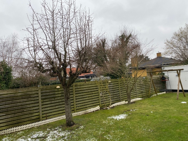 Jeg vil gerne have hjælp til at beskære 2 træer i min have og fælde et lille træ.