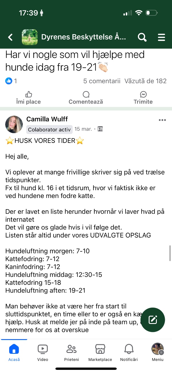 Thuja hækklipning i Brabrand