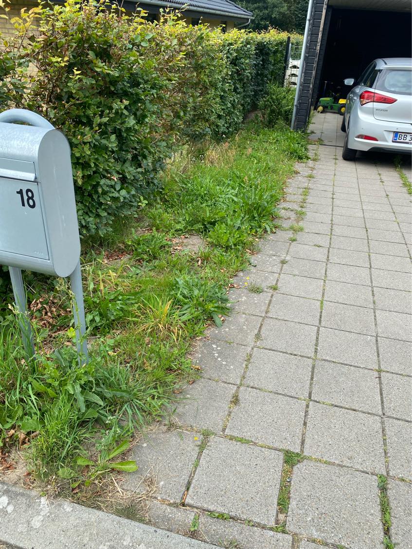 Fjerne ukrudt i haven