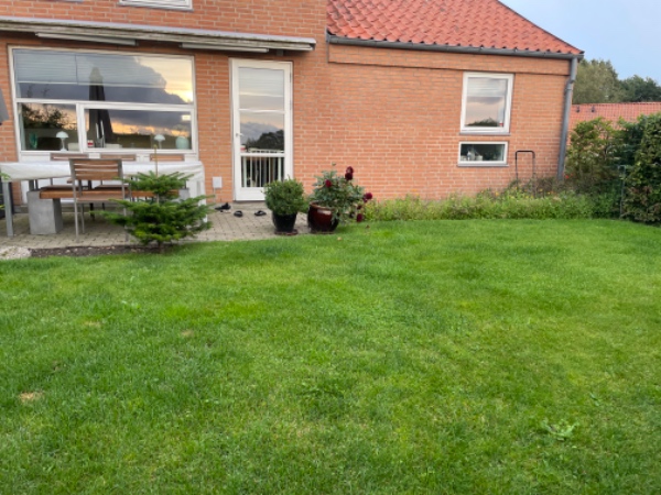 Indredning af Lille have