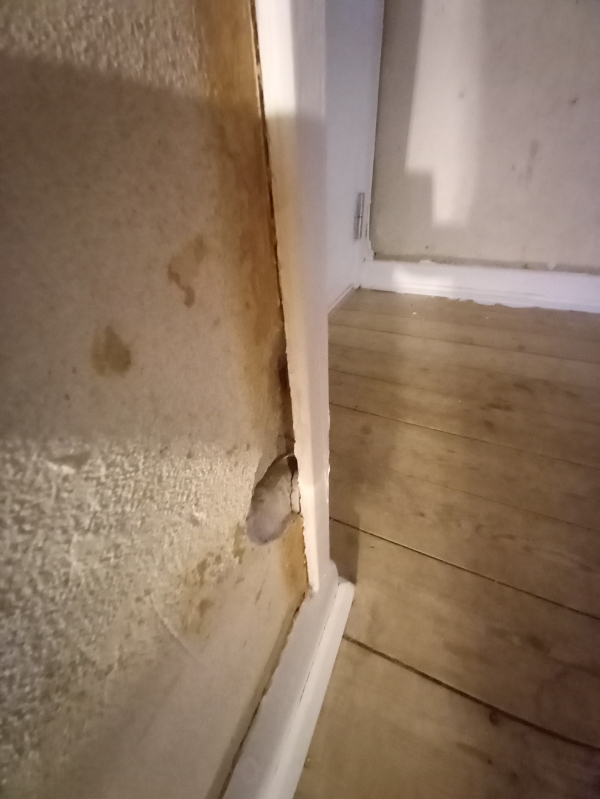 Pudsning og spartels af lille gang