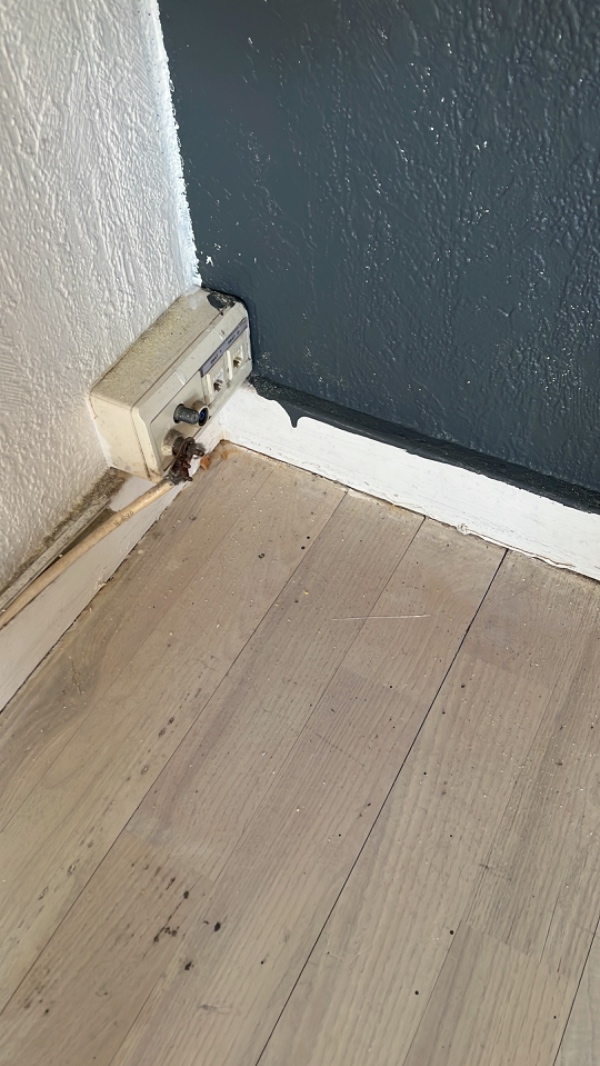 samling af Ikea møbler - hjørnesofa.