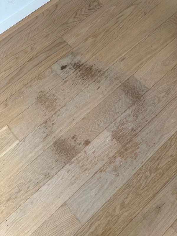 Slibning og lakering af gulve i lejlighed på 122 m2 i Vallensbæk Strand