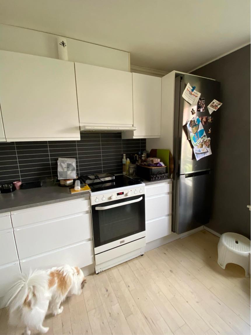 Male stue/køkken alrum