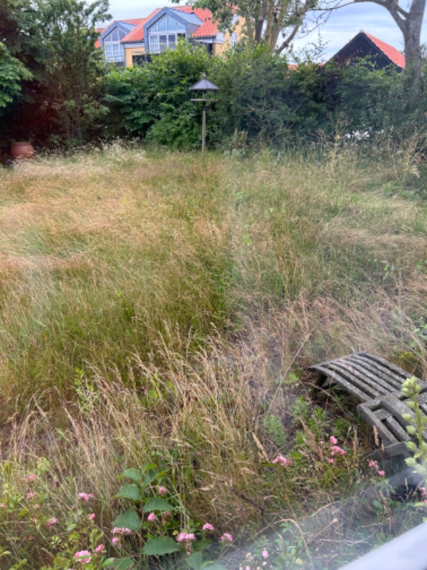 Klipning af højt græs i have