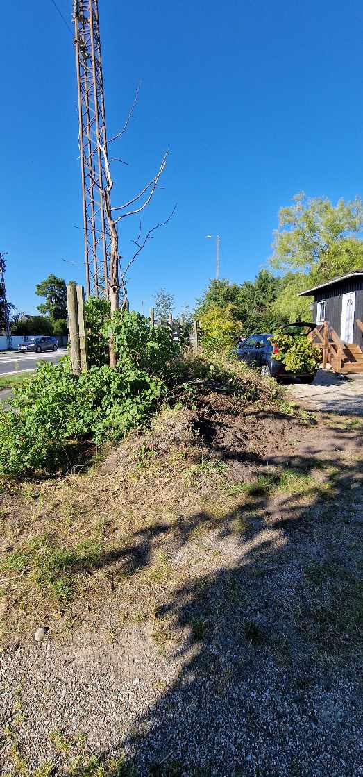 Opgravning og bortkørsel af sandjord