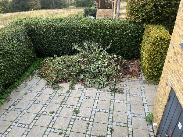 Bortkørsel haveaffald og fjerne lille rod/hegn