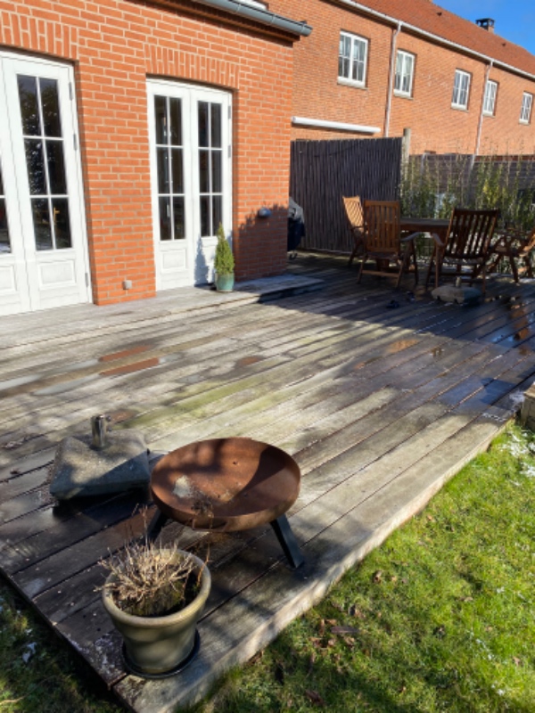 Algerens: Hegn + terrasse