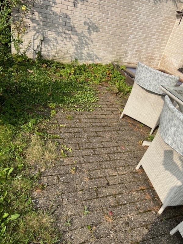 Lugning