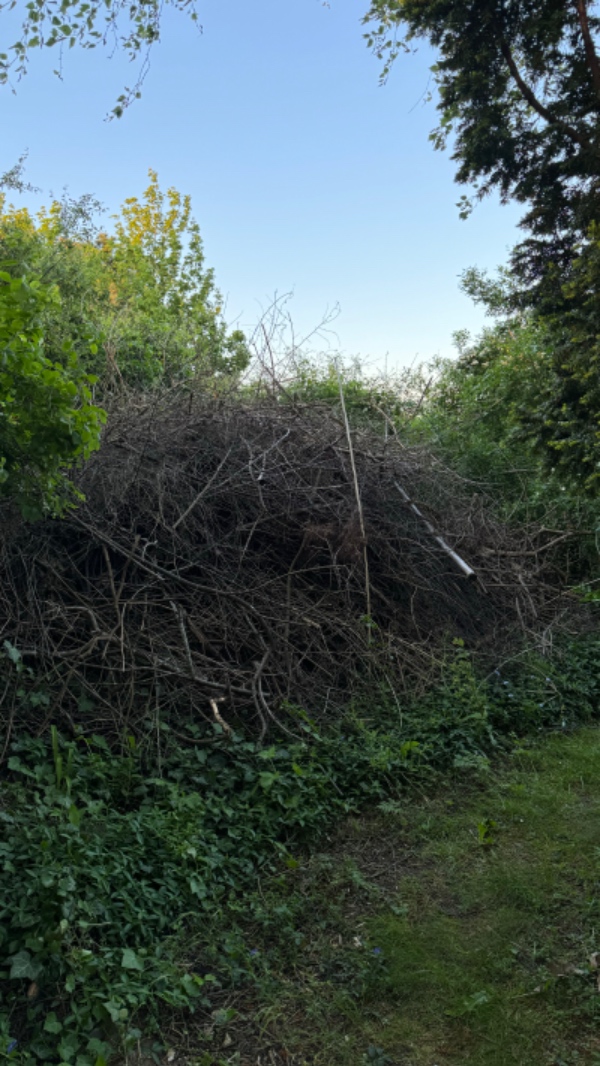 Fjernelse af grenaffald 