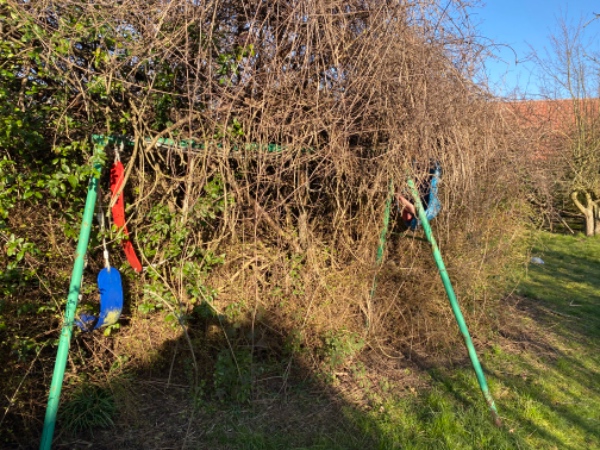 Nedklipning af busk og fjernelse af gyngestativ